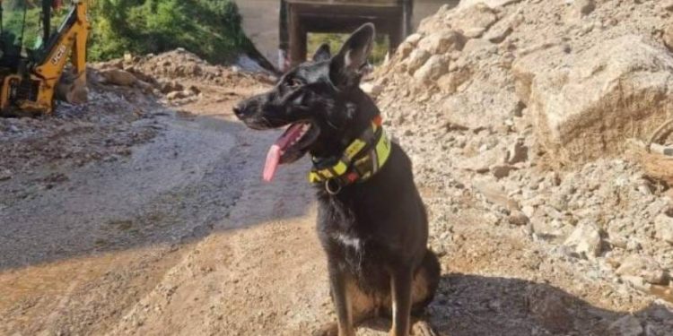 Ovo je “Korčulanka” koja je hrabro pomagala stradalima u Jablanici!