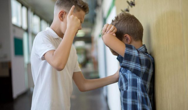 PROBLEM SVIH ŠKOLA Kako se u našoj zemlji rješava međuvršnjačko nasilje