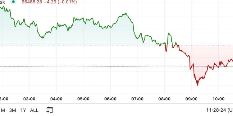 Pad BTC-a ispod 67 tisuća dolara potiče pad širokog tržišta