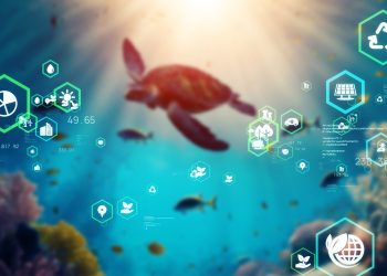 Pomoću satelitskih slika i AI prate kvalitetu mora, ušli među top pet svjetskih inovatora