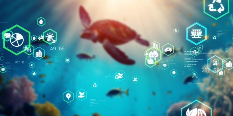 Pomoću satelitskih slika i AI prate kvalitetu mora, ušli među top pet svjetskih inovatora