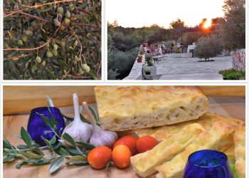 Pozdrav ljetu uz vrhunska vina i maslinova ulja u Gdinju, na otoku Hvaru