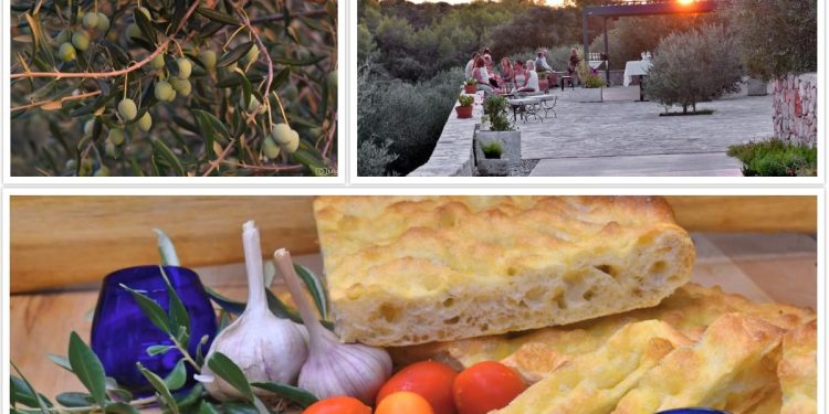 Pozdrav ljetu uz vrhunska vina i maslinova ulja u Gdinju, na otoku Hvaru