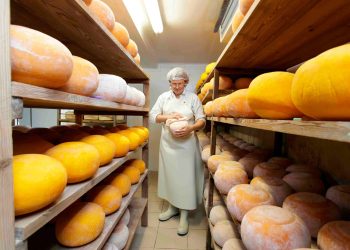 Prevaranti odvoze golemu zalihu cheddara vrijedan nevjerojatnih 400.000 dolara