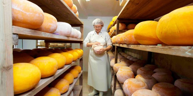 Prevaranti odvoze golemu zalihu cheddara vrijedan nevjerojatnih 400.000 dolara