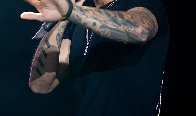 Prva posthumna pjesma Liama ​​Paynea bit će objavljena za samo nekoliko dana jer njegov koproducent dijeli dirljiv umjetnički rad za pjesmu nakon njegove tragične smrti