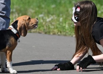 Rusija razmatra zabranu quadrobic-a — RT Rusija i bivši Sovjetski Savez