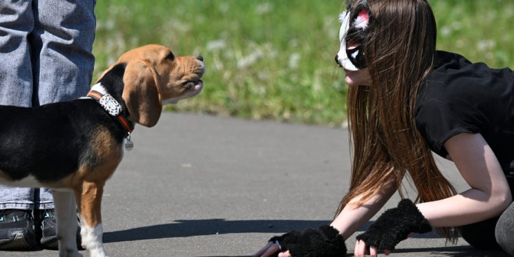 Rusija razmatra zabranu quadrobic-a — RT Rusija i bivši Sovjetski Savez