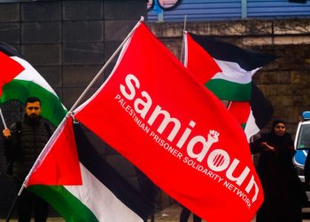 SAD sankcionira propalestinsku skupinu solidarnosti — RT World News