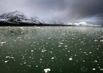 Sat otkucava: Zapad na tankom ledu zbog jačanja rusko-kineske suradnje na Arktiku
