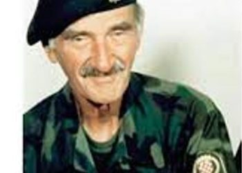 Slavna pobjeda kod Čepikuća – Braniteljski portal