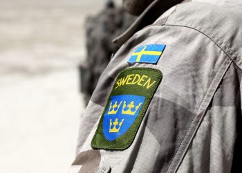 Šveđanin koji se borio za Ukrajinu ubijen u akciji – mediji — RT World News