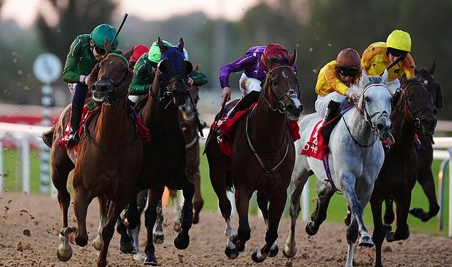 Trkaći savjeti Robina Goodfellowa: Najbolje oklade za četvrtak, 31. listopada