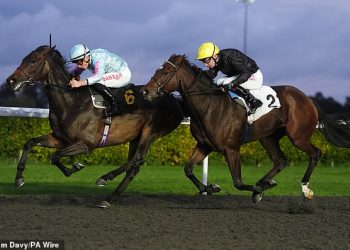 Trkaći savjeti Robina Goodfellowa: najbolje oklade za subotu, 12. listopada