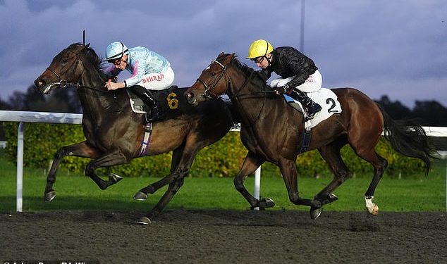 Trkaći savjeti Robina Goodfellowa: najbolje oklade za subotu, 12. listopada