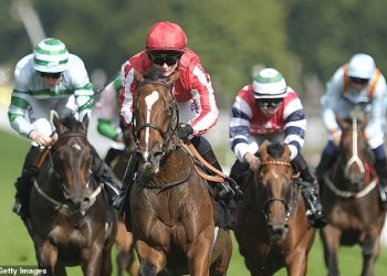 Trkaći savjeti Robina Goodfellowa: najbolje oklade za utorak, 22. listopada