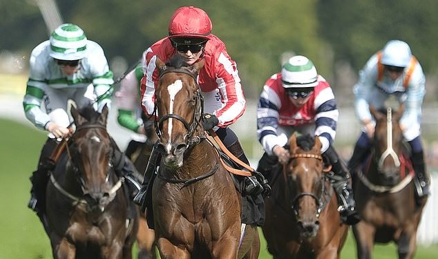 Trkaći savjeti Robina Goodfellowa: najbolje oklade za utorak, 22. listopada