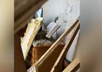 VIDEO Čudo nakon razornog uragana: ‘Biblija ostala netaknuta’