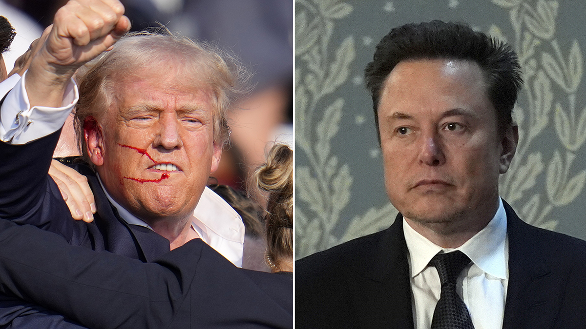 Donald Trump, lijevo; Elon Musk, desno u podjeli fotografija