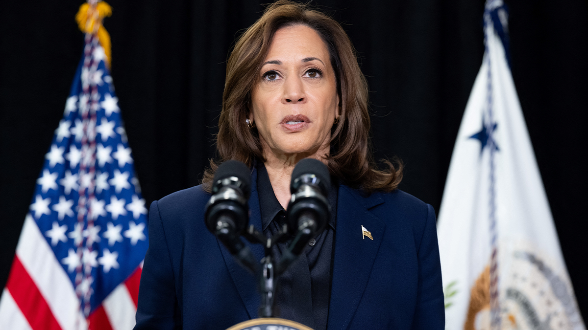 Demokratska predsjednička kandidatkinja, potpredsjednica SAD-a Kamala Harris