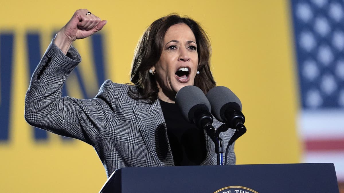 Demokratska predsjednička kandidatkinja, potpredsjednica Kamala Harris govori na kampanji u Burns Parku u ponedjeljak, 28. listopada 2024. u Ann Arboru, Michigan.