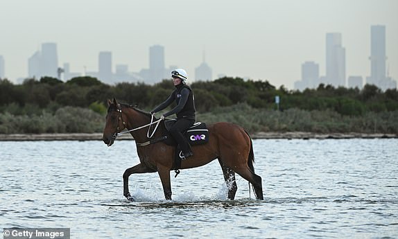 ALTONA NORTH, AUSTRALIA - NOVEMBER 04: Melbourne Cup favourite, Buckaroo ridden by Courtney Foale is seen during beach session at Altona Beach on November 04, 2024 in Altona North, Australia. (Photo by Vince Caligiuri/Getty Images)