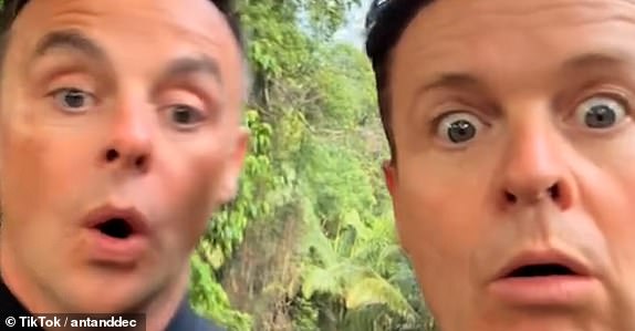 Uncleared grabs: Ant and Dec - I'm a Celeb