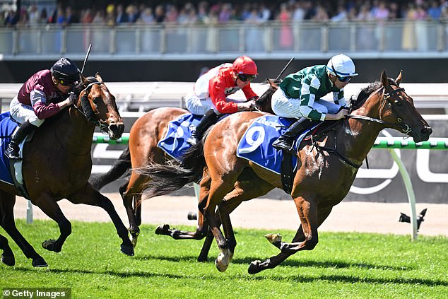 This year, 24 more horses and their jockeys will be looking to etch their names into the history books while punters will be hoping to pick the winner. Pictured: Michael Dee riding Tycoon Star in Race 1, the Darley Maribyrnong Plate