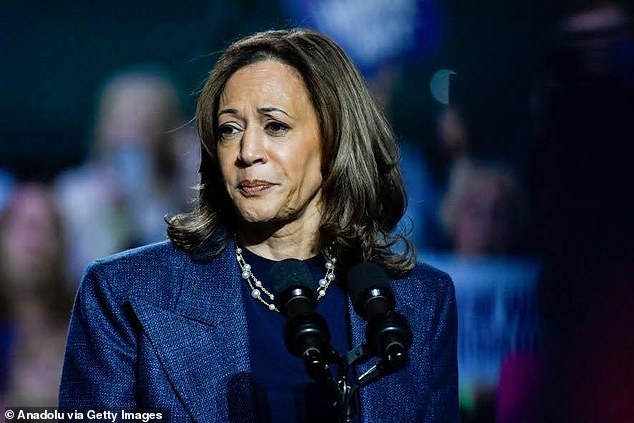 Kamala Harris nije uspjela uvjerljivo nadmašiti Joea Bidena ni u jednom američkom okrugu, kao što je Jameela napisala: 'Izdigli smo rasnu i rodnu politiku nad politikom, radničkom klasom i iskazivanjem punog integriteta koji smo zahtijevali od opozicije'