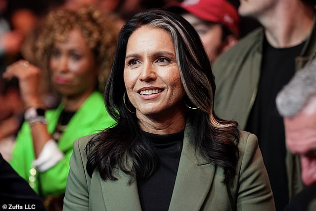 Kandidatkinja za ravnateljicu Nacionalne obavještajne službe Tulsi Gabbard viđena je tijekom UFC-a 309 u MSG-u