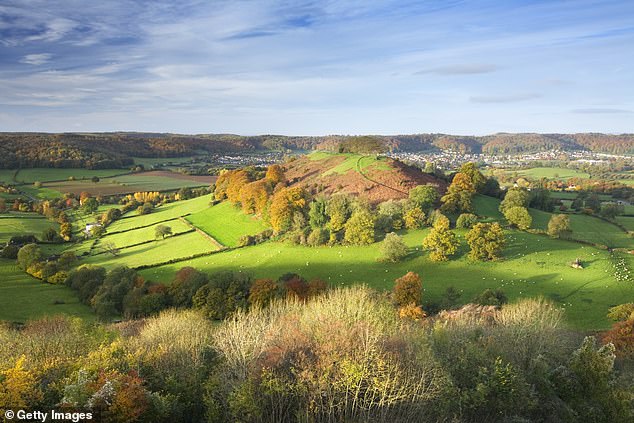 Downham Hill je prikazan u jesen, u Cotswoldsu, Gloucestershire