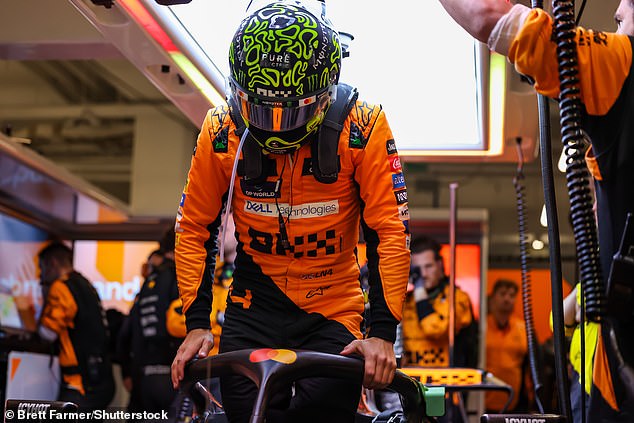 Lando Norris (gore) majstorski je lovio Verstappenov rep u zadnjem kraju sezone, ali nije imao dovoljno u spremniku da Nizozemcu uskrati njegovo impresivno postignuće