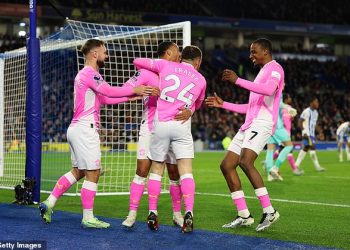 Aaron Ramsdale izaziva bijes zbog VAR-a jer je zvijezda Southamptona uputila bijesan ispad od pet riječi na dužnosnike nakon što su Saintsi postali žrtva kontroverznog poziva u Brightonu… a sucima je trebalo gotovo PET MINUTA da donesu odluku