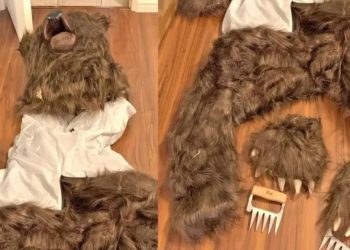 Auto Klub – Nevjerojatan pokušaj prevare osiguranja: Obukao kostim medvjeda i demolirao Rolls Royce