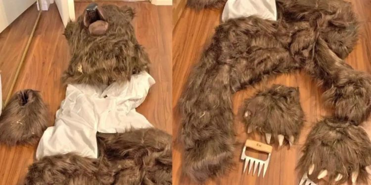 Auto Klub – Nevjerojatan pokušaj prevare osiguranja: Obukao kostim medvjeda i demolirao Rolls Royce