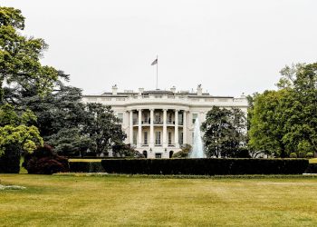 Bijela kuća Crypto Czar?