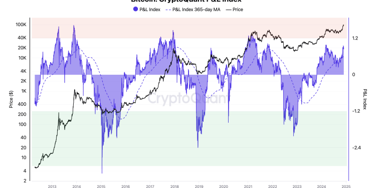 Bitcoin će premašiti 100.000 dolara unatoč povlačenju, ima još puno prostora prije vrha: CryptoQuant