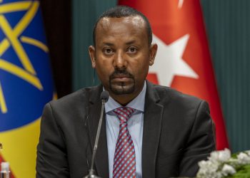 Etiopija će težiti pristupu moru bez rata – premijer – RT Afrika