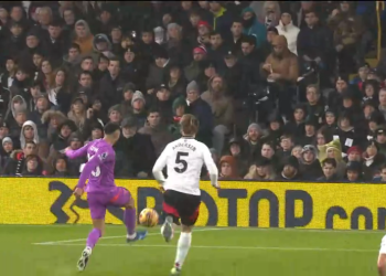 Fulham-Wolverhampton 1-4: gol e highlights