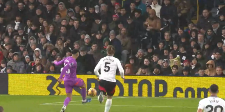Fulham-Wolverhampton 1-4: gol e highlights