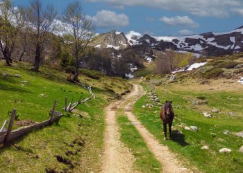 Gdje se financijske inovacije susreću s održivim razvojem