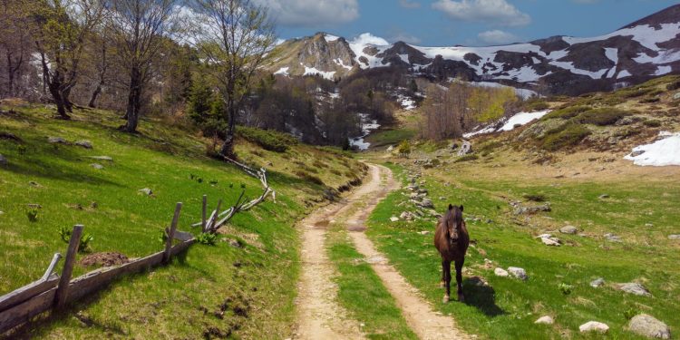 Gdje se financijske inovacije susreću s održivim razvojem
