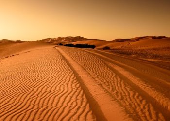 Izvorni token Raydiuma iz Solane RAY je još uvijek prevruć za rukovanje: Godbole