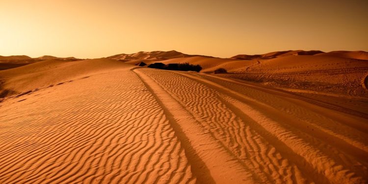 Izvorni token Raydiuma iz Solane RAY je još uvijek prevruć za rukovanje: Godbole