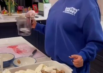 Možete li uočiti opasnost po zdravlje u ovom videu Katie Price kako priprema jelo s tjesteninom u jednom loncu za svoju obitelj?