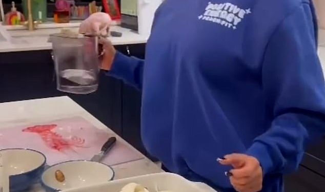 Možete li uočiti opasnost po zdravlje u ovom videu Katie Price kako priprema jelo s tjesteninom u jednom loncu za svoju obitelj?