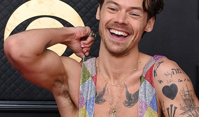 Obožavatelji Harryja Stylesa i Paula Mescala izbezumili su dok dijele teorije da će se pojaviti na natjecanjima sličnih nakon što je Timothée Chalamet izazvao pandemonij svojom pojavom