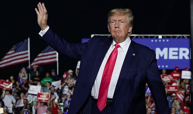 Omiljena slavna osoba Donalda Trumpa udvostručila je podršku Kamale Harris nakon što je priznao da je ‘voli’