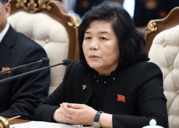 Pjongjang će biti uz Moskvu do pobjede – Sjeverna Koreja – RT World News