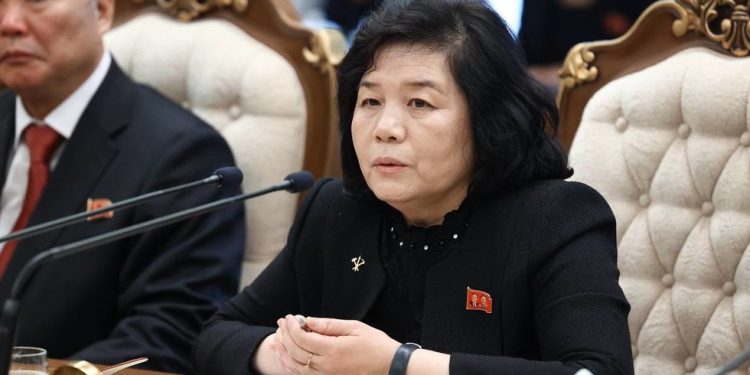 Pjongjang će biti uz Moskvu do pobjede – Sjeverna Koreja – RT World News